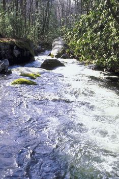 stream flowing over rocks